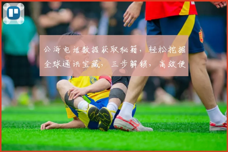 公海电话数据获取秘籍，轻松挖掘全球通讯宝藏，三步解锁，高效便捷，一网打尽