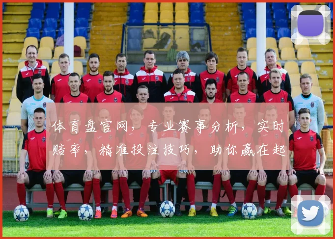 体育盘官网，专业赛事分析，实时赔率，精准投注技巧，助你赢在起跑线，一触即发