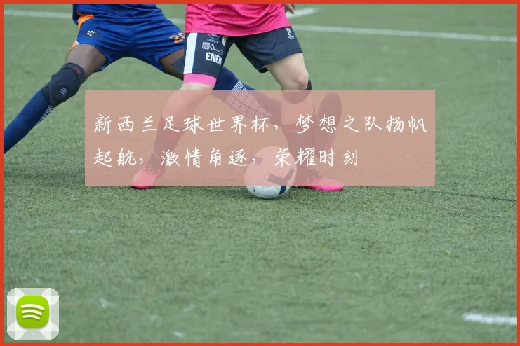 新西兰足球世界杯，梦想之队扬帆起航，激情角逐，荣耀时刻