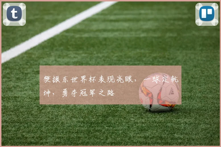 樊振东世界杯表现亮眼，一球定乾坤，勇夺冠军之路