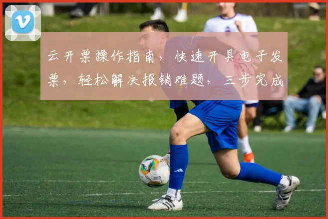云开票操作指南，快速开具电子发票，轻松解决报销难题，三步完成，效率提升，安全可靠，一站式服务。